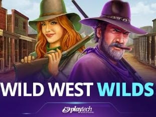 Wild West Wilds game cover